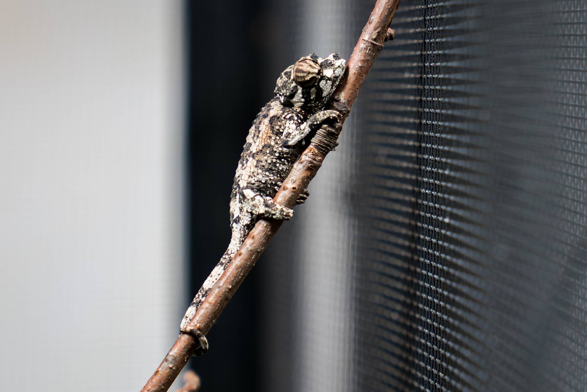 © Mulhouse Alsace Agglomération - m2A / Marie Nussbaumer