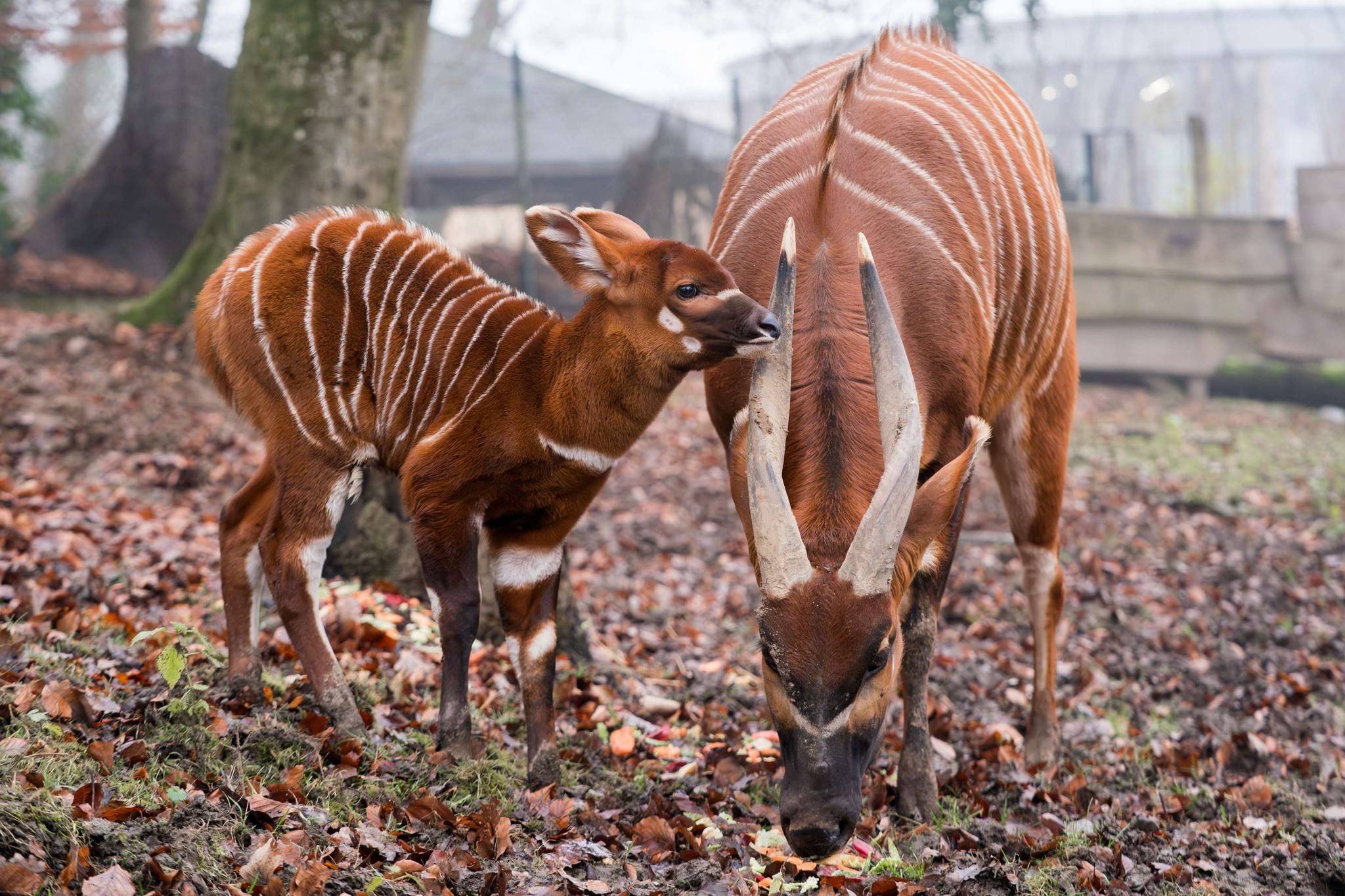 © Mulhouse Alsace Agglomération - m2A / Marie Nussbaumer