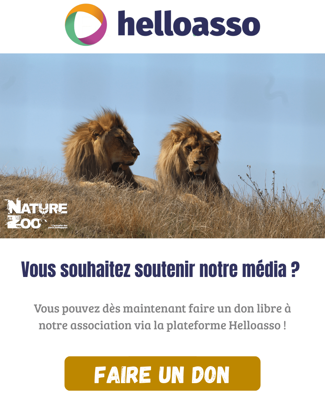 Ours malais (Helarctos malayanus) Nature et Zoo — free download