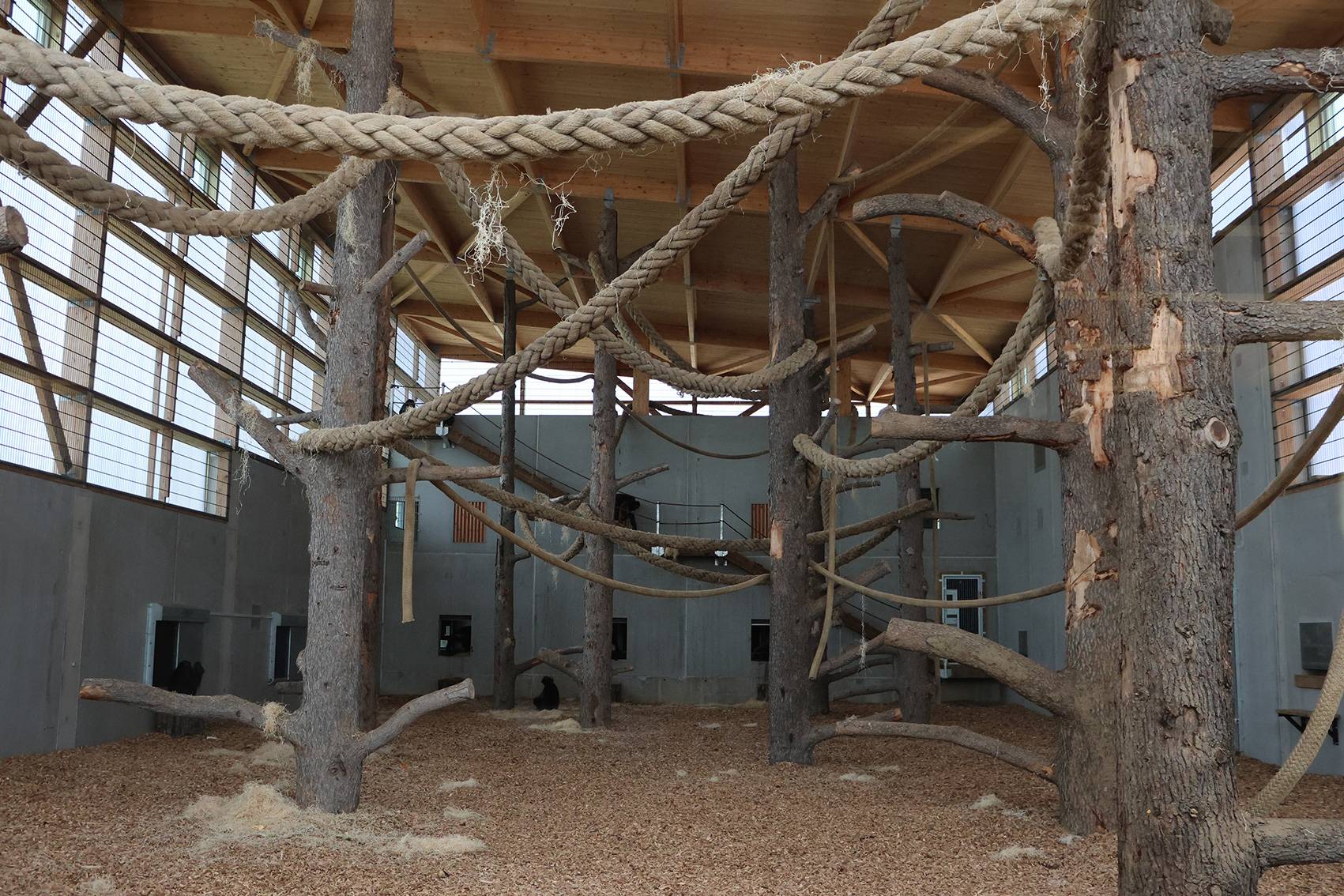 © Espace Zoologique de Saint-Martin-la-Plaine