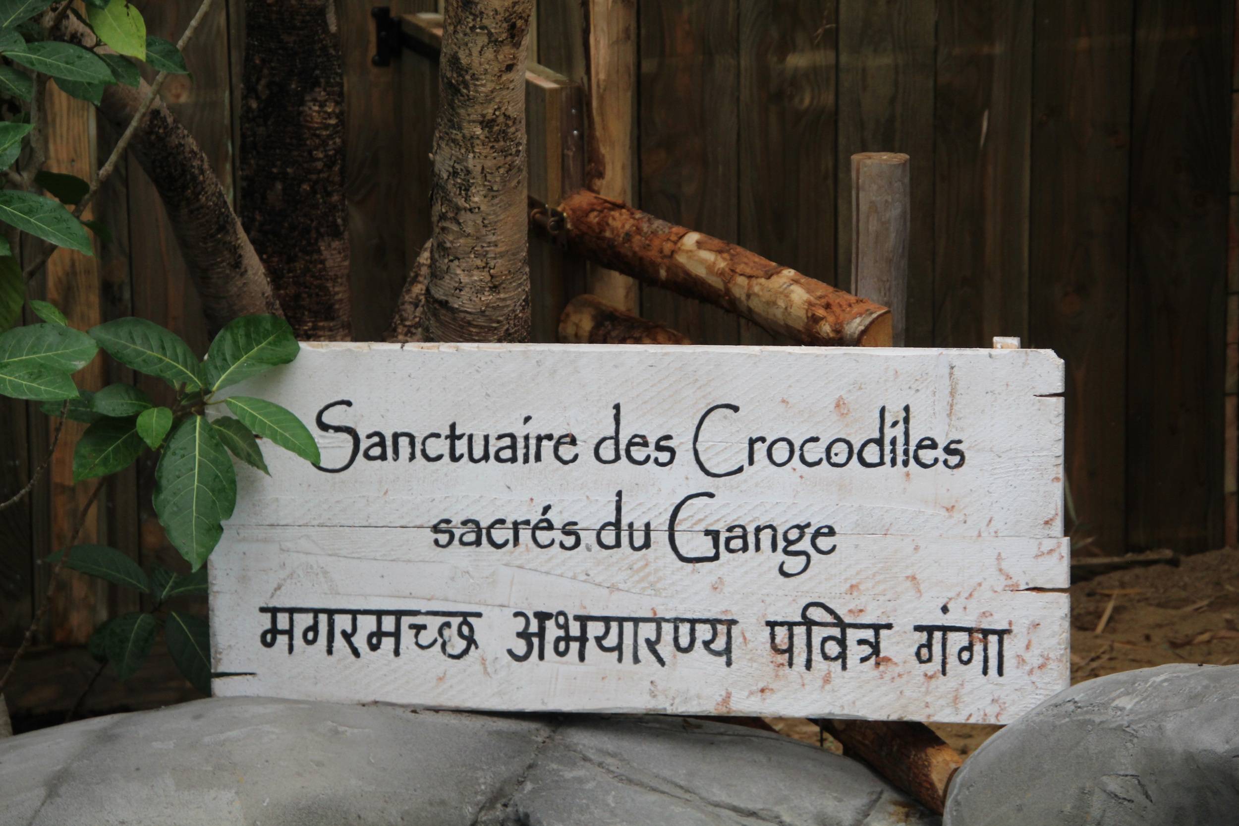 © Victor Lahcen - Nature et Zoo