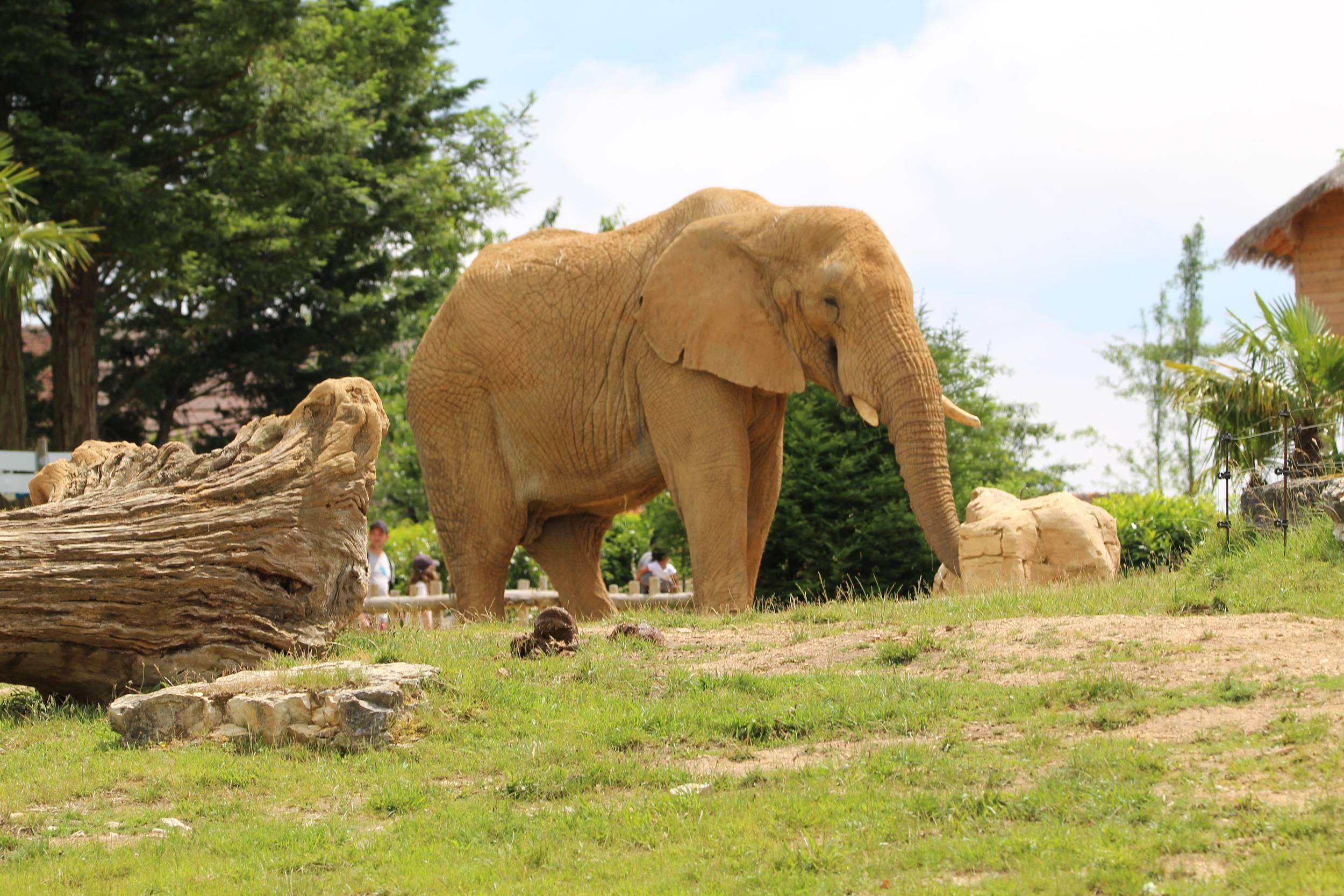 © Victor Lahcen - Nature et Zoo