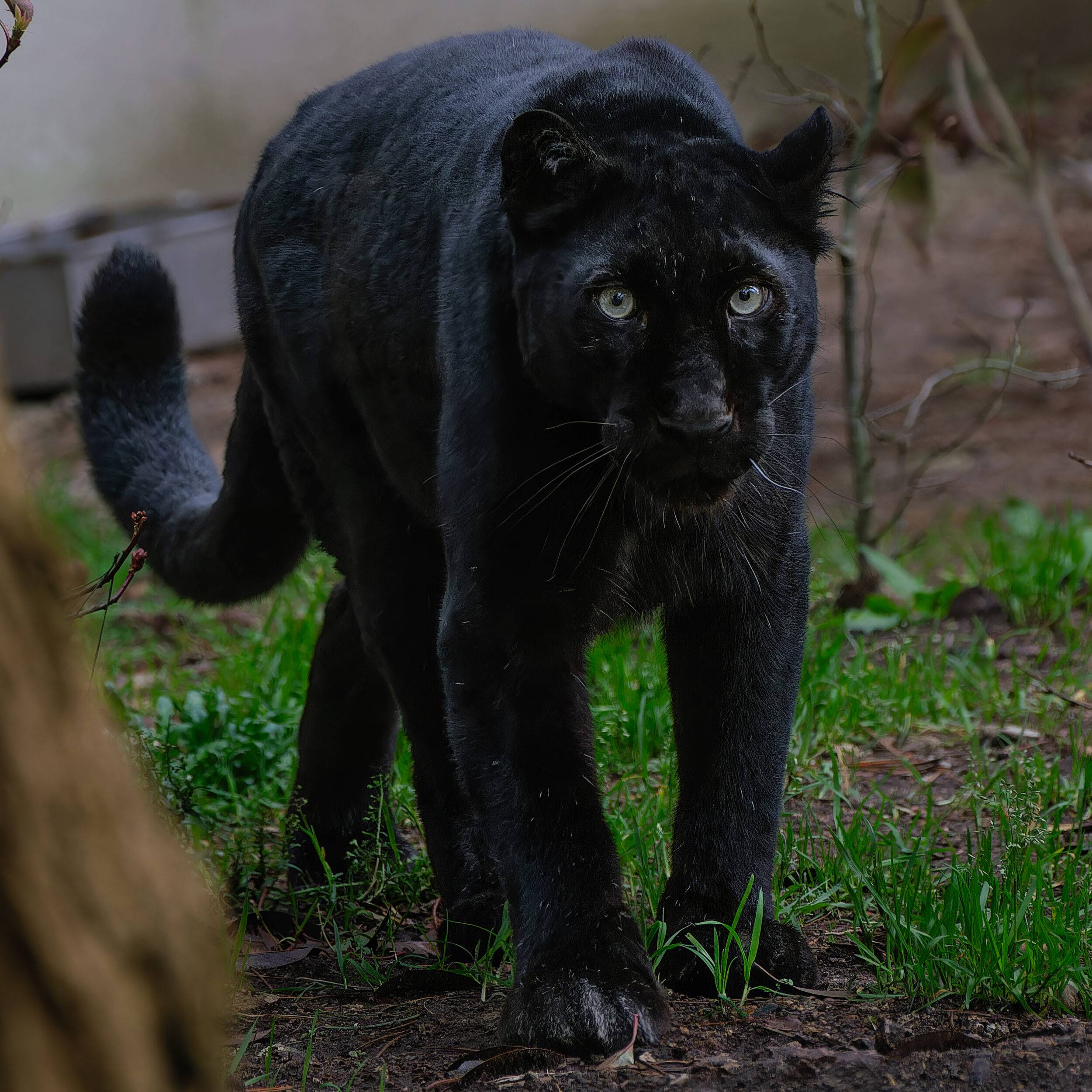 © Christine Guillemot