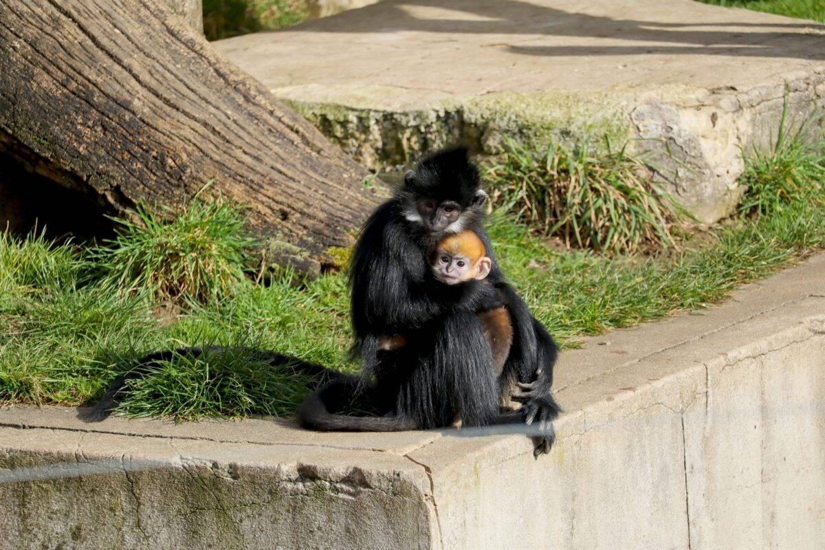 © Coraline Serrand - Citadelle de Besançon