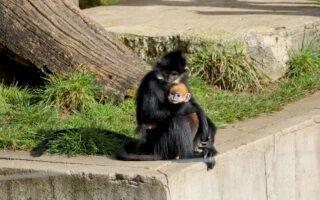 © Coraline Serrand - Citadelle de Besançon