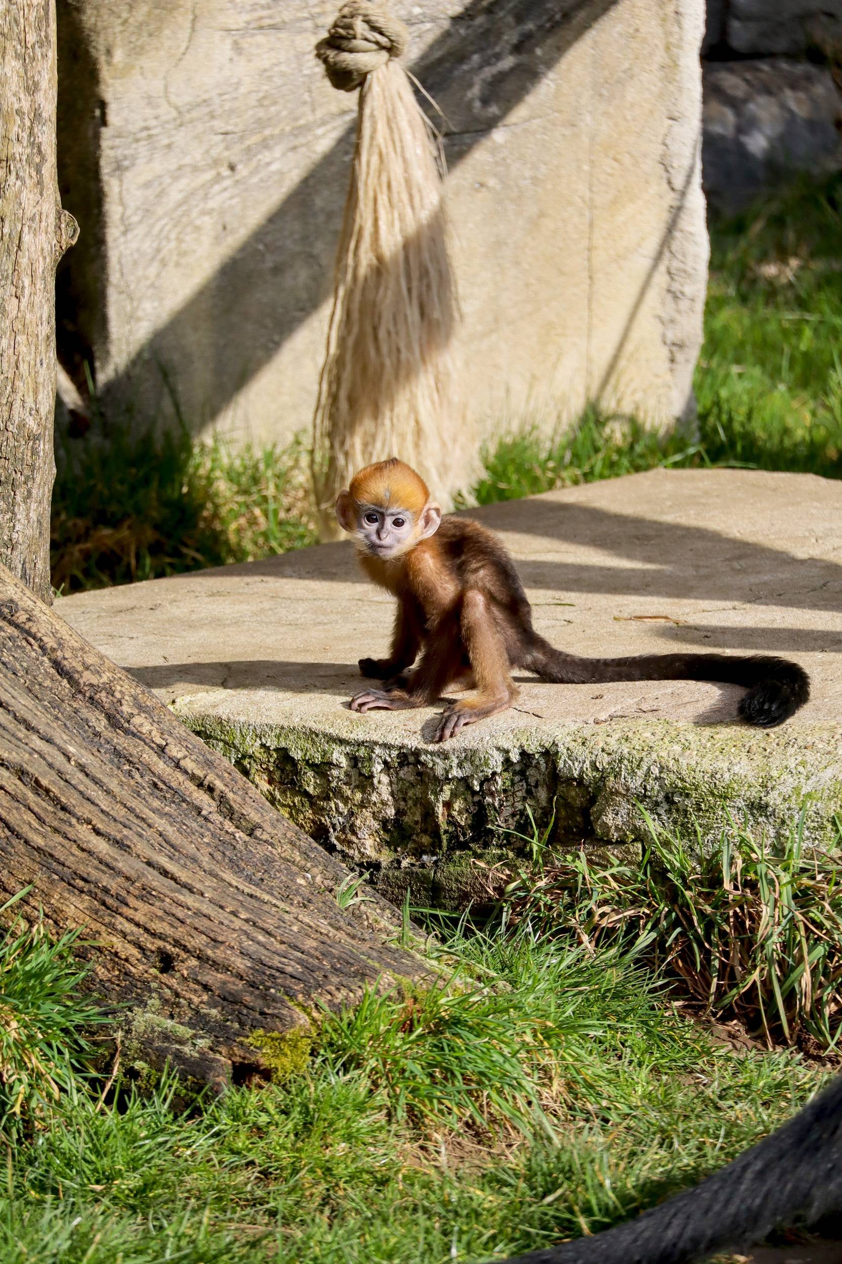 © Coraline Serrand - Citadelle de Besançon