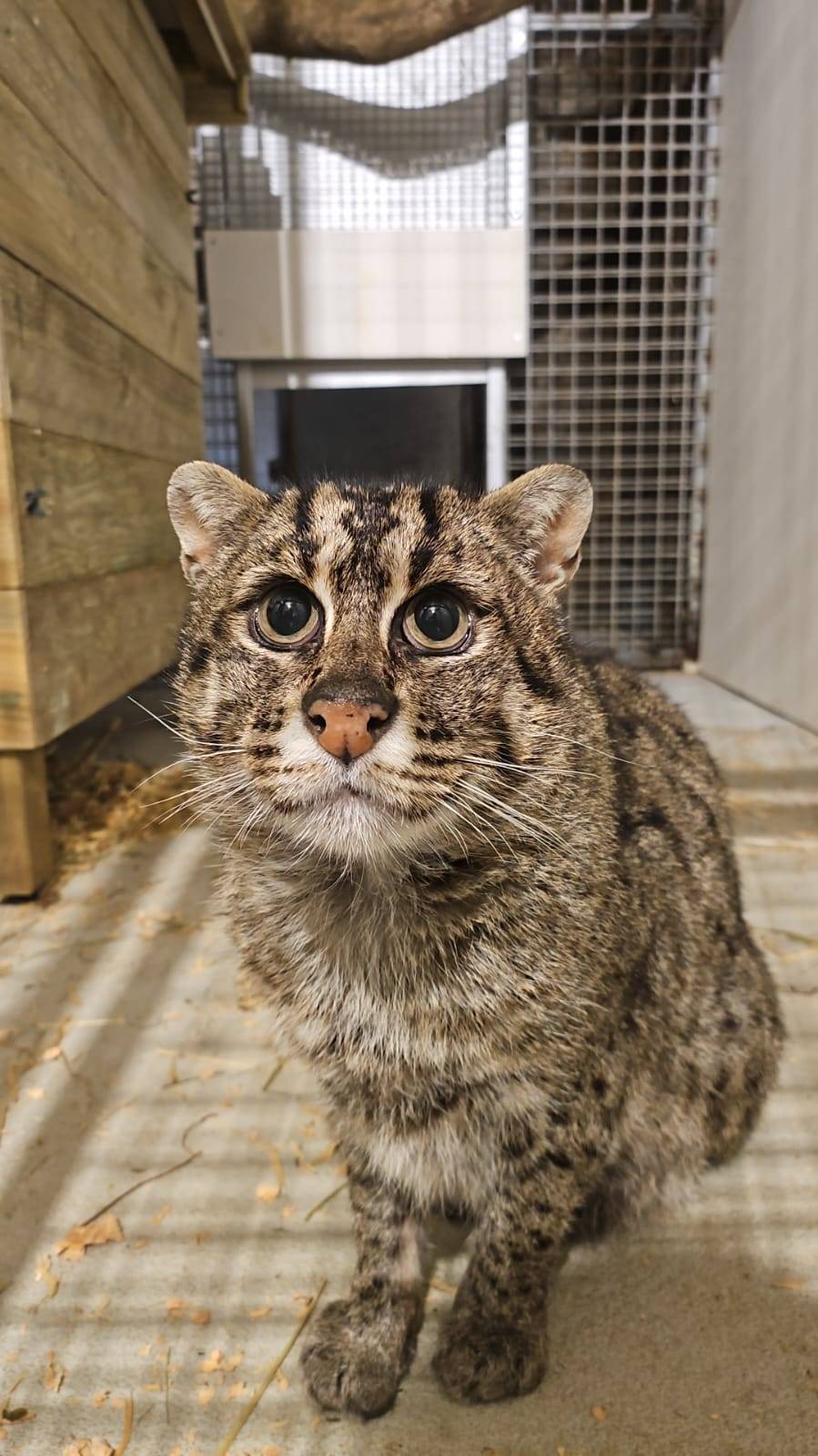 © Les Terres de Nataé