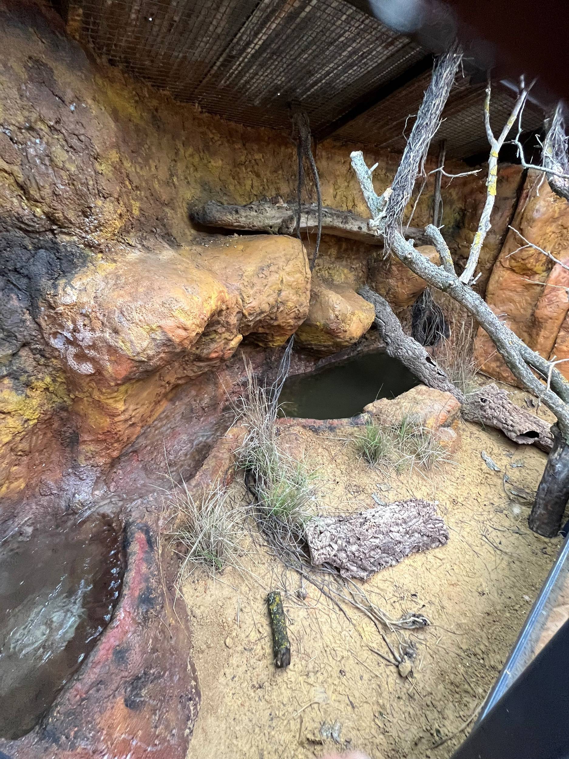 © La Ferme aux Crocodiles