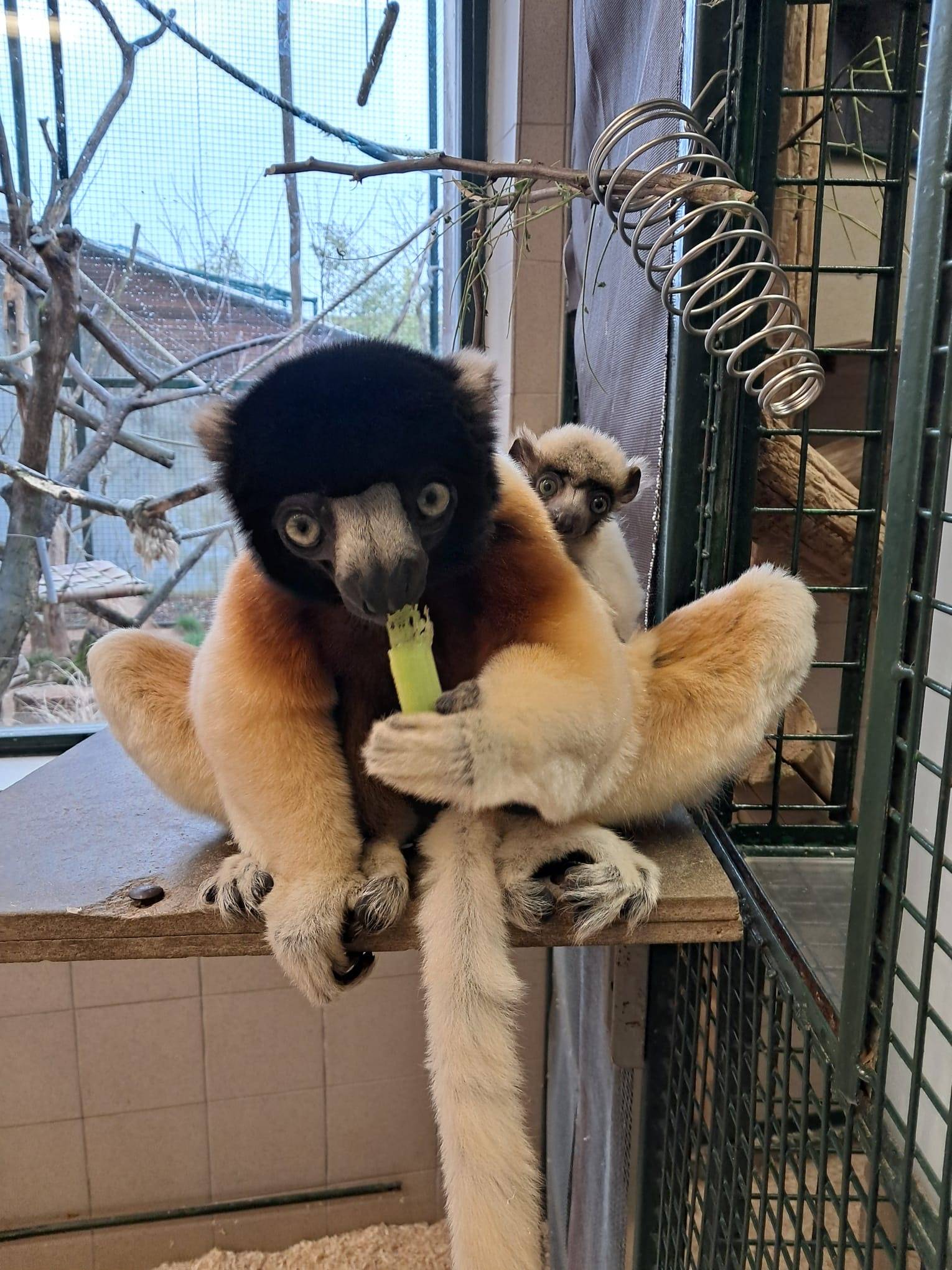 © Clarisse Cointet - Citadelle de Besancon