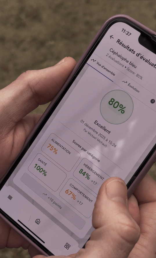 © Parc de Branféré