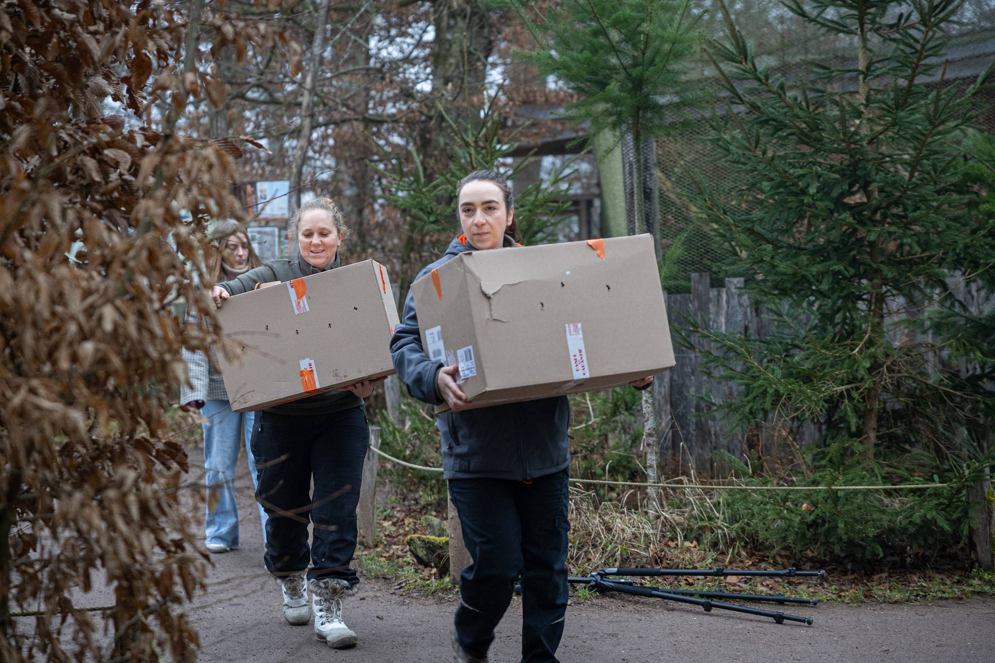 © Carla Datola - Parc Sainte-Croix