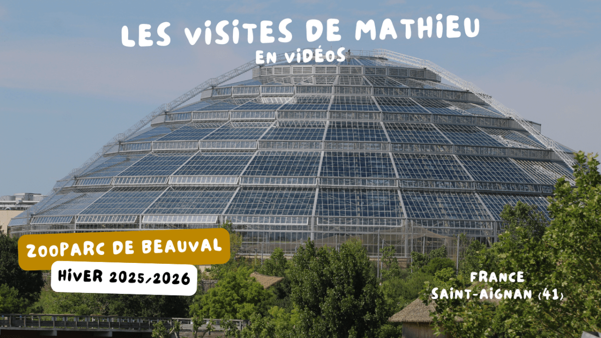 © Nature et Zoo