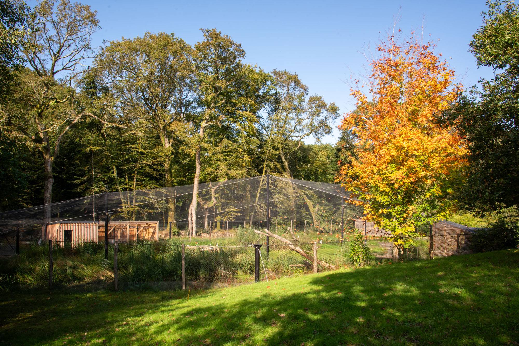 © F. Ferranti - Parc de Branféré