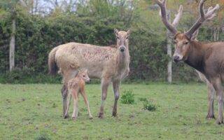 © Legendia Parc