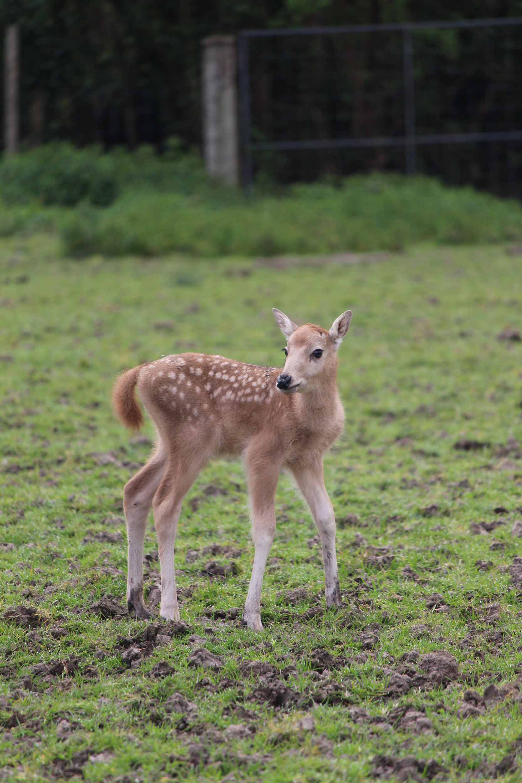 © Legendia Parc
