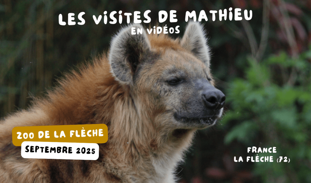© Nature et Zoo