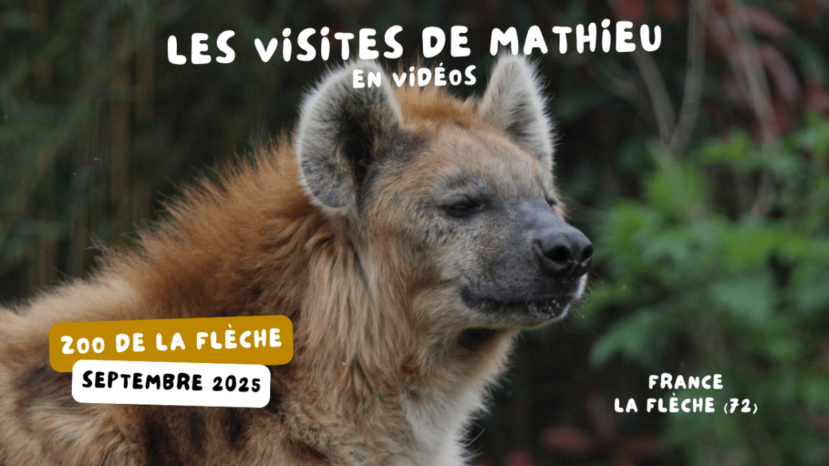 © Nature et Zoo