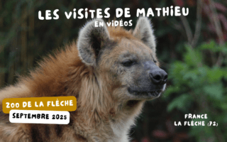 © Nature et Zoo