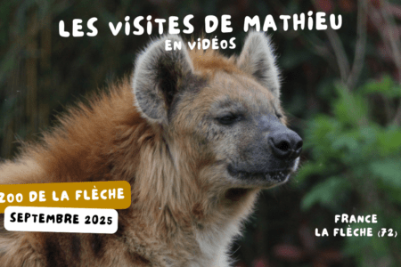 © Nature et Zoo
