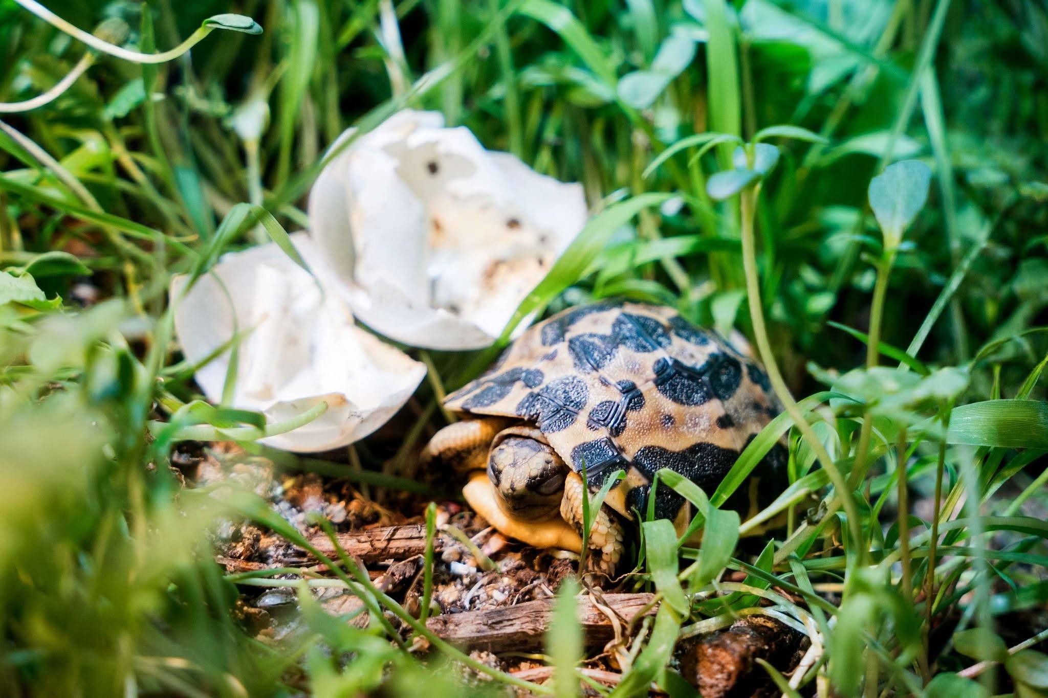 © m2A / Parc Zoologique & Botanique de Mulhouse