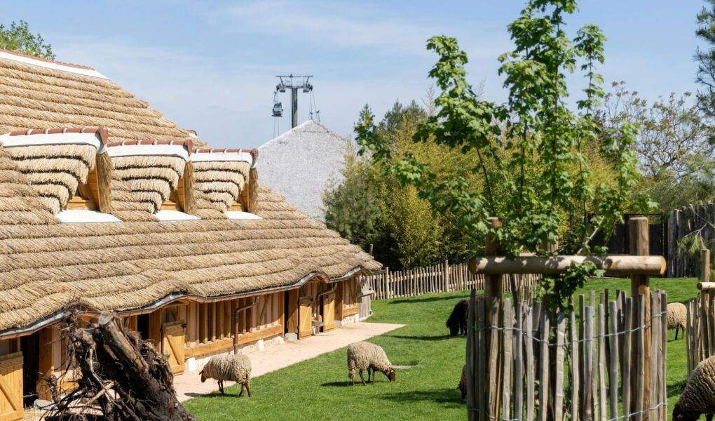 © ZooParc de Beauval