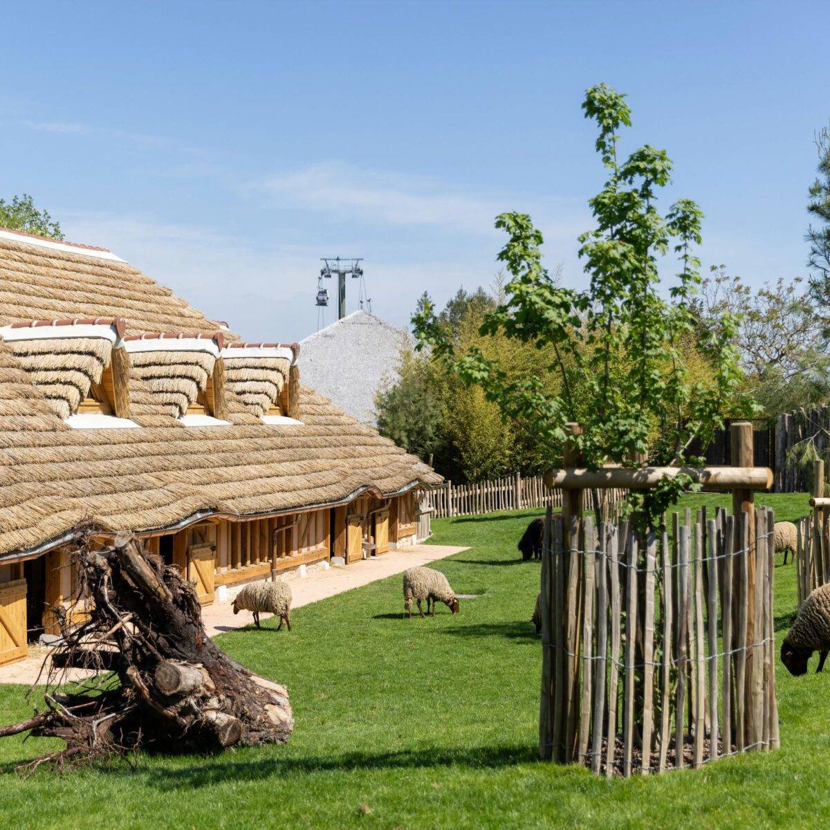 © ZooParc de Beauval