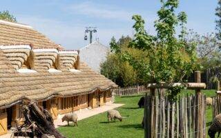 © ZooParc de Beauval