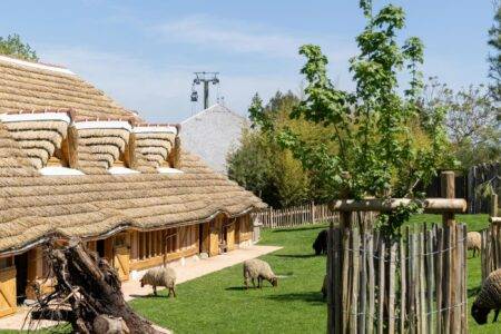 © ZooParc de Beauval
