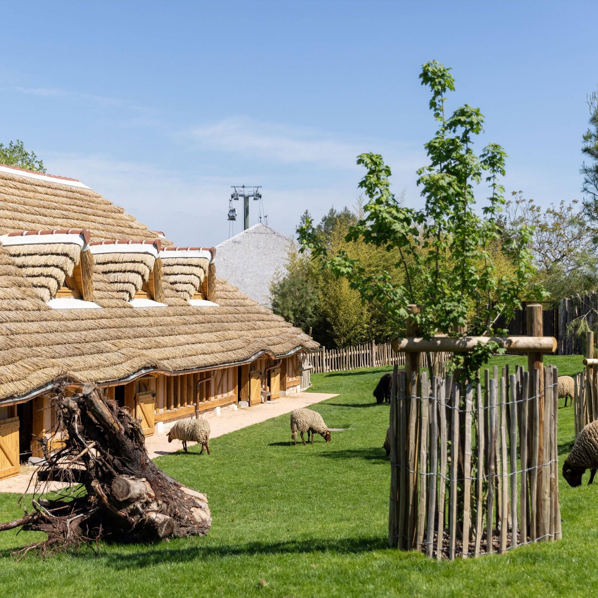 © ZooParc de Beauval