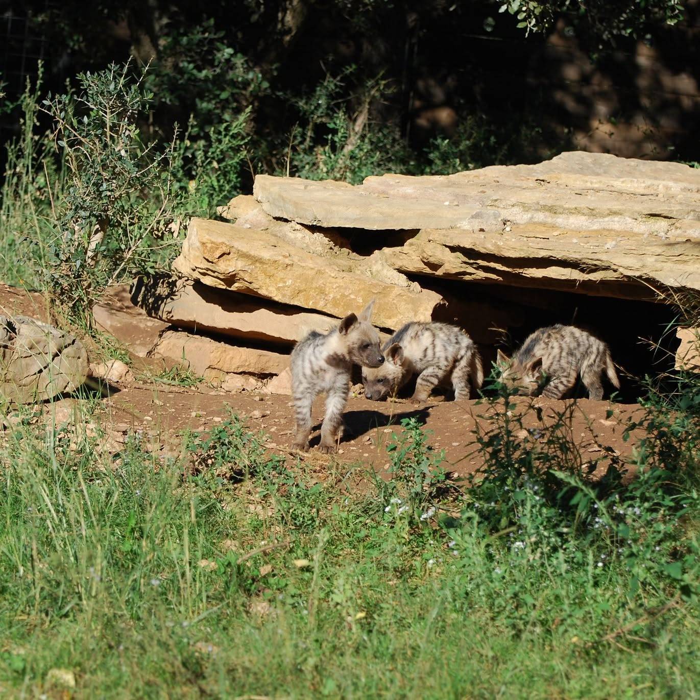 © Parc animalier de La Barben